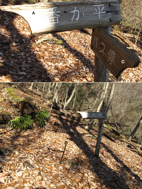 20161216hike (32)